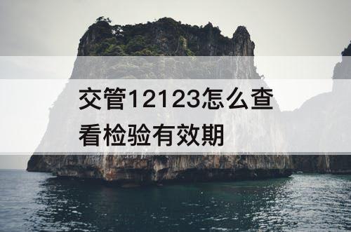 交管12123怎么查看检验有效期
