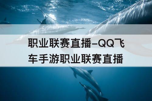 职业联赛直播-QQ飞车手游职业联赛直播