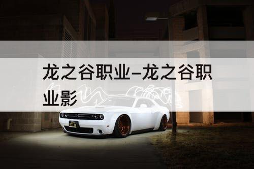 龙之谷职业-龙之谷职业特点