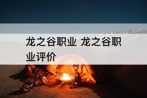 龙之谷职业 龙之谷职业评价