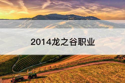 2014龙之谷职业