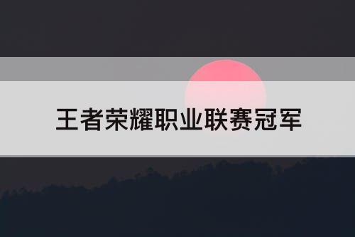 王者荣耀职业联赛冠军