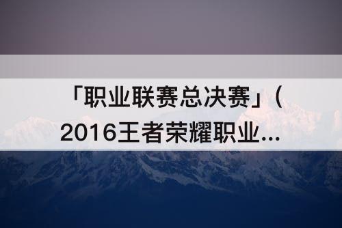 「职业联赛总决赛」(2016王者荣耀职业联赛总决赛)