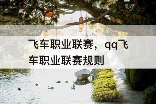 飞车职业联赛，qq飞车职业联赛规则