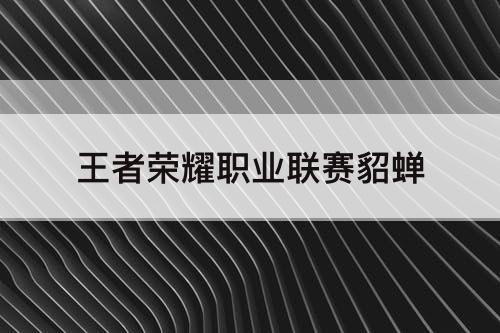 王者荣耀职业联赛貂蝉