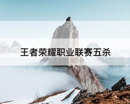王者荣耀职业联赛五杀