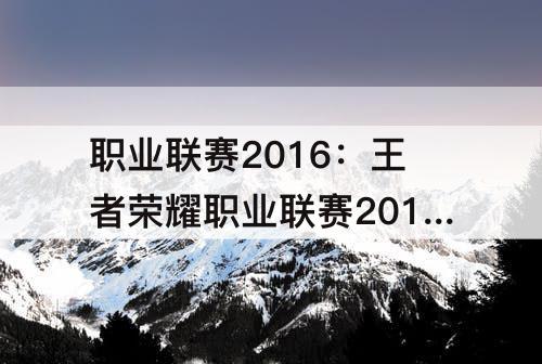 职业联赛2016：王者荣耀职业联赛2016年常规赛