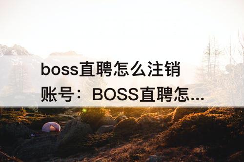 boss直聘怎么注销账号：BOSS直聘怎么注销账号