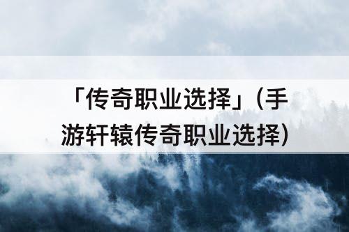 「传奇职业选择」(手游轩辕传奇职业选择)