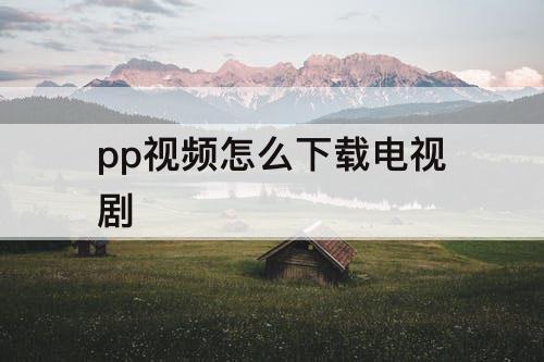 pp视频怎么下载电视剧