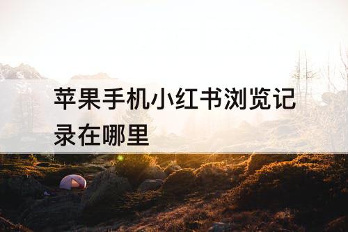 苹果手机小红书浏览记录在哪里