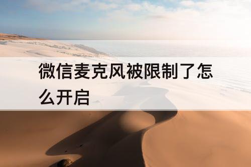 微信麦克风被限制了怎么开启