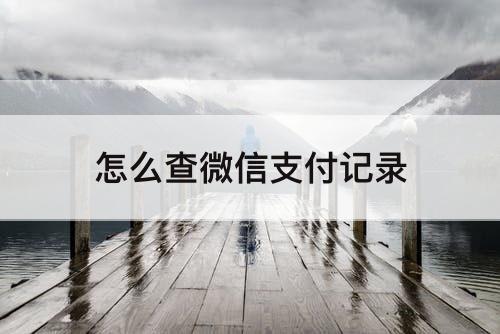 怎么查微信支付记录