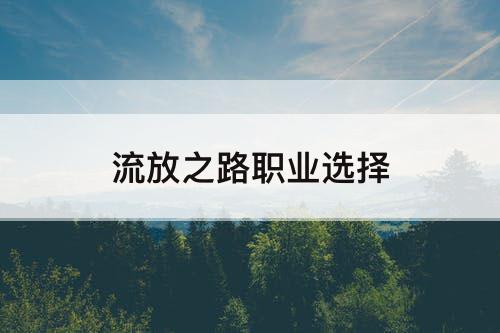 流放之路职业选择