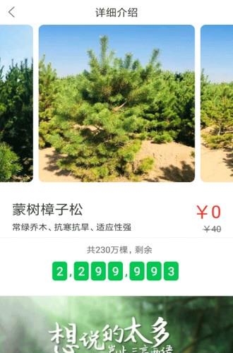 呼唤森林