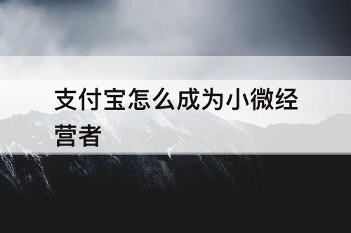 支付宝怎么成为小微经营者