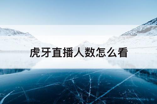 虎牙直播人数怎么看