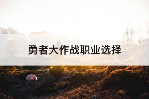 勇者大作战职业选择
