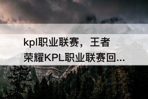 kpl职业联赛，王者荣耀KPL职业联赛回放