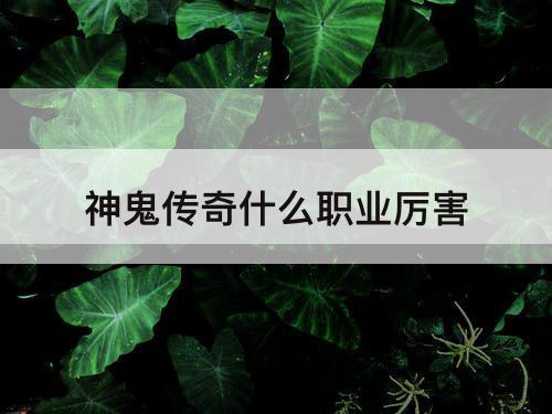 神鬼传奇什么职业厉害