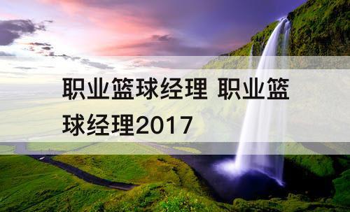 职业篮球经理 职业篮球经理2017