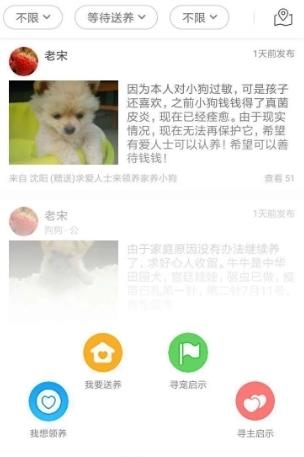 宠物领养截图