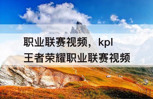 职业联赛视频，kpl王者荣耀职业联赛视频
