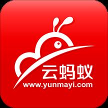 蚂蚁掌柜