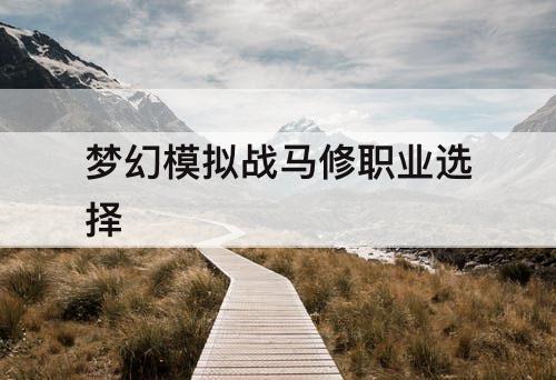 梦幻模拟战马修职业选择