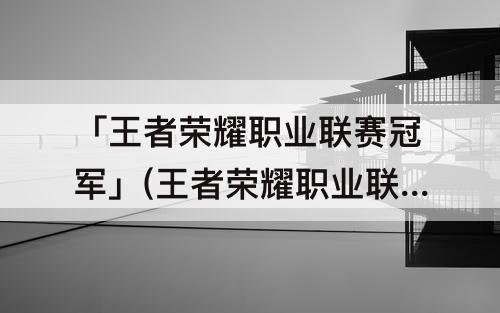 「王者荣耀职业联赛冠军」(王者荣耀职业联赛冠军最多的战队)