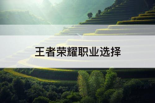 王者荣耀职业选择