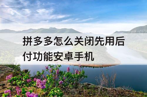 拼多多怎么关闭先用后付功能安卓手机