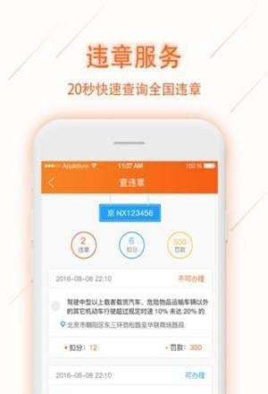 车主陛下