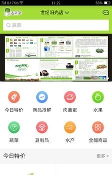 麦菜菜