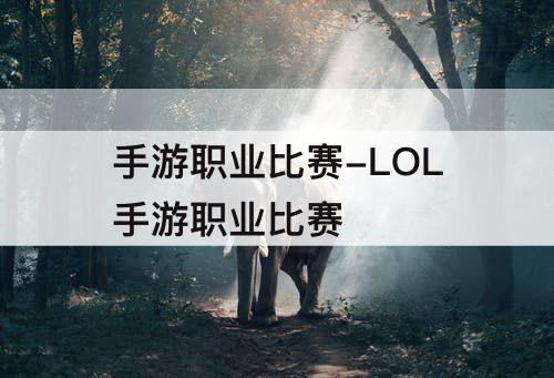 手游职业比赛-LOL手游职业比赛