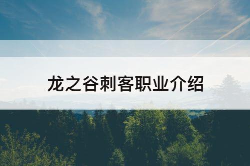 龙之谷刺客职业介绍