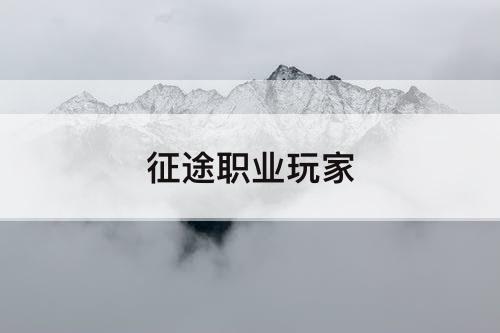 征途职业玩家