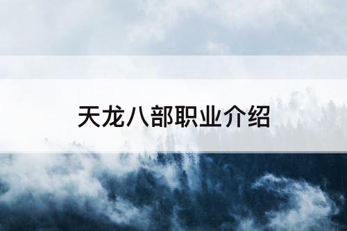 天龙八部职业介绍