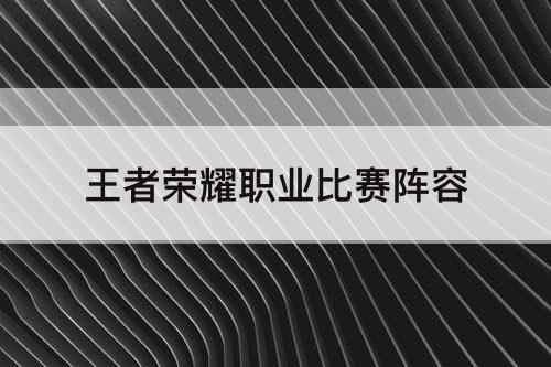王者荣耀职业比赛阵容