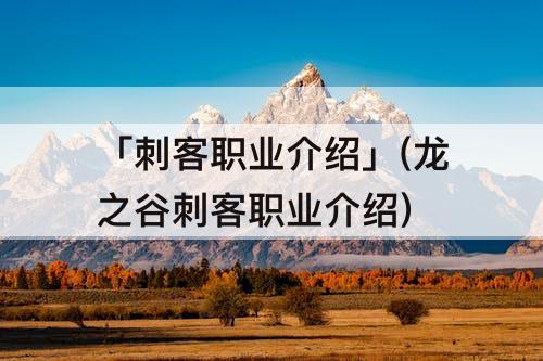 「刺客职业介绍」(龙之谷刺客职业介绍)
