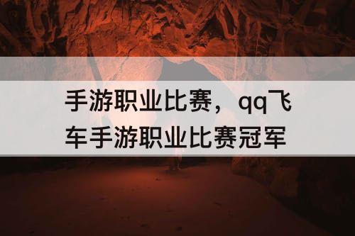 手游职业比赛，qq飞车手游职业比赛冠军