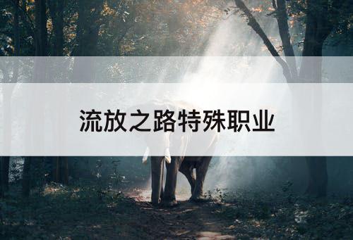 流放之路特殊职业