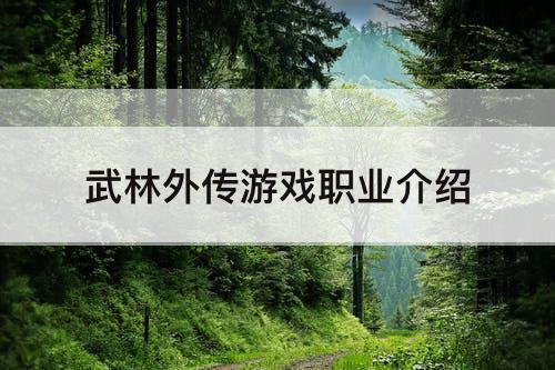 武林外传游戏职业介绍