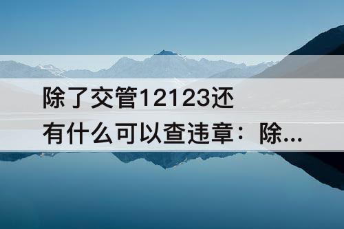 除了交管12123还有什么可以查违章：除了交管12123还有什么可以查违章照片