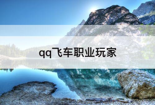 qq飞车职业玩家