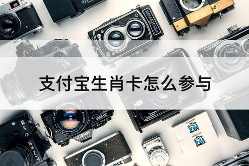 支付宝生肖卡怎么参与