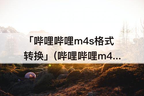 「哔哩哔哩m4s格式转换」(哔哩哔哩m4s格式转换器)