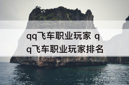 qq飞车职业玩家 qq飞车职业玩家排名