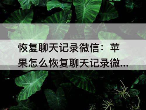 恢复聊天记录微信：苹果怎么恢复聊天记录微信聊天记录免费