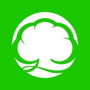 大槐树电商